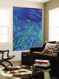 Aerial of Hardy Reef Offshore from Whitsundays Islands Wall Mural by Philip Game