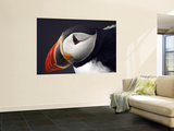 Puffin on Snaefellsnes Peninsula Wall Mural by Douglas Steakley