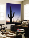 Saguaro Cactus in Tucson Mountain Park Wall Mural by Richard Cummins