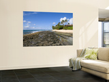 Kawela Coastline at Low Tide Wall Mural by Sabrina Dalbesio