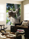 Sloth Living in Parque Centenario Wall Mural by Margie Politzer