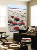 Steppe Country on the Road from El Calafate to Esperanza Wall Mural by Damien Simonis