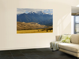 Medano Creek in Great Sand Dunes National Park and Preserve Reproduction murale géante par Stephen Saks