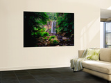 Hopetoun Falls Wall Mural by Richard l'Anson