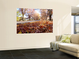 Autumn Colour on Country Road, Near Lake George Wall Mural by Oliver Strewe