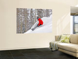 Snowboarder Enjoying Deep Fresh Powder at Brighton Ski Resort Vægplakat af Paul Kennedy