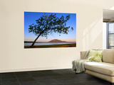 Mt Scott Wall Mural by John Elk III