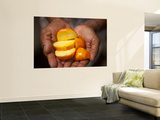 Caju or Cashew Fruit Mural por Huw Jones Caju or Cashew Fruit Mural por Huw Jones