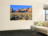 Pinnacles and Buttes in Valley of the Gods, Monument Valley, Utah, USA Wall Mural by Bernard Friel