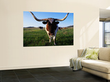 Texas Longhorn Cattle Mural por John Elk III Texas Longhorn Cattle Mural por John Elk III