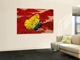 Woman Sorting Red Chillies Mural por Hira Punjabi Woman Sorting Red Chillies Mural por Hira Punjabi