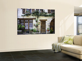 House Facade with Flowers in Lot Valley Wall Mural by Barbara Van Zanten