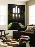 Ruins of Rievaulx Abbey Wall Mural by Doug McKinlay