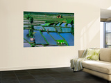 Rice Fields Veggmaleri av Andrew Brownbill