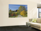 Rural Road Through Bluegrass in Autumn Near Lexington, Kentucky, USA Wall Mural by Adam Jones