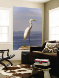 Great White Heron Wall Mural by Thomas Winz