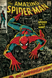 Marvel Comics Retro: The Amazing Spider-Man Comic Book Cover 100, 100th Anniversary Issue (aged) Wall Mural