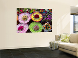Elaborate Flower Arrangements at Flower Market Stall Wall Mural by Sally Dillon Elaborate Flower Arrangements at Flower Market Stall Wall Mural by Sally Dillon