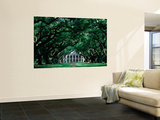Oak Alley Plantation in Mississippi River Valley Wall Mural by John Elk III
