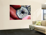 Holding an Ancient Qing Dynasty Coin Wall Mural by Keren Su