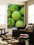 Pomelos for Sale at or Tor Kor Market Reproduction murale géante par Austin Bush
