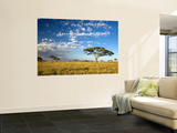 Acacia Trees under Blue Sky with Clouds Mural por Sean Caffrey Acacia Trees under Blue Sky with Clouds Mural por Sean Caffrey