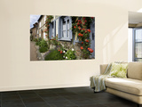 Roses and Flowers and Half-Timbered Houses Along Rue Du Logis Du Roy Wall Mural by Barbara Van Zanten