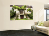 Double Stairway Leading into House Wall Mural by Barbara Van Zanten