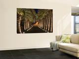 Palm-Lined Path and Pier at Night Wall Mural by Holger Leue