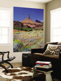 Castle Rock in Castle Valley Showing Also Priest and Nuns, Utah, USA Wall Mural by Bernard Friel