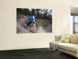 Mountain Biker on Malice in Plunderland Trail, Spencer Mountain, Whitefish, Montana, USA Wall Mural by Chuck Haney
