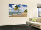 Coconut Grove Beach at Cades Bay, with St. Kitts on Horizon Wall Mural by Greg Johnston