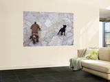 Two Dogs Barking Wall Mural by Holger Leue