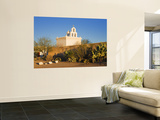 Mission San Xavier Del Bac Wall Mural by Richard Cummins