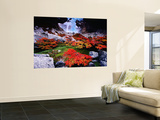 Autumnal Foliage Beneath the Glacier Piedras Blancas Reproduction murale géante par Gareth McCormack