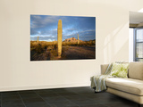 Saguaro Cacti (Carnegiea Gigantea) at Dawn, in Organ Pipe Cactus National Monument Wall Mural by Feargus Cooney