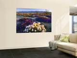 Flowers Growing on Desert, Anza Borrego Desert State Park, California, USA Wall Mural by Adam Jones