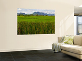 Peaks in Khao Sam Roi Yot National Park across Fields Wall Mural by Nicholas Reuss