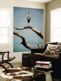 Yellow-Billed Stork, Lake Nzelekela Wall Mural by Mark Daffey