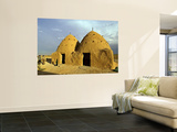 Conical Mud-Brick Beehive Houses, Central Syria Wall Mural by Patrick Horton
