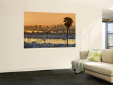 Yachts across San Diego Bay at Sunrise, Looking Towards Downtown Wall Mural by Witold Skrypczak