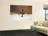 Bare Trees in Salt Plain with Sheer Hills Behind Reproduction murale géante par Neil Setchfield