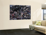 Secret War 3 Group: Wolverine, Doctor Octopus, Black Widow, Daredevil and Captain America Wall Mural