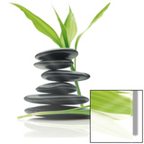 Feng Shui Balance Affiche