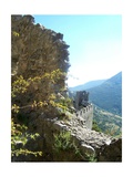 Puilaurens Castle Walls France Giclee Print by Marilyn Dunlap