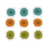 Cell Division Photographic Print by Jan Weiss