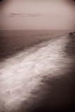 Wave Form Fotografie-Druck von Steve Gadomski