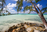 View of the Rum Point Jetty, Grand Cayman Island Photographic Print by George Oze