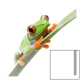 Crazy Frog I Kunstdrucke