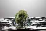 Artichoke FreshSplash Photographie par Steve Gadomski